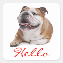 Hello Happy Bulldog Puppy Dog  Greeting Sticker