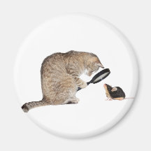 Hello!? Magnets
