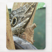 Hello! Mouse Mat