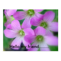 Hello my friend........ post card