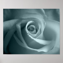 Hello Rose Poster