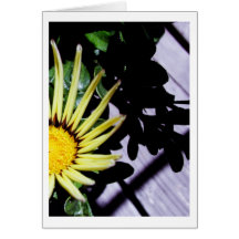 Hello, Sunshine Card