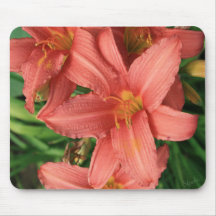 Hemerocallis Mouse Pads