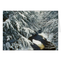 Hemlock Stream in Winter Greeting Cards