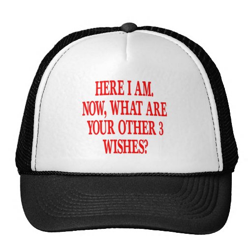 Here I Am Now What Are Your Other 3 Wishes