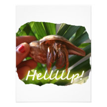 Hermit Crab and Help text , funny animal design Personalised Announcements