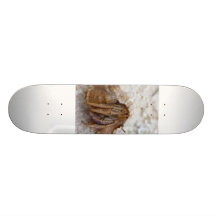 hermit-crab-care skate deck