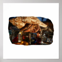 Hermit Crab on Ice Cubes Poster
