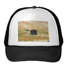 Heropolis founded by Eumenes II king of Pergamum Hats