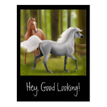 Hey Good Looking Horse Postcard