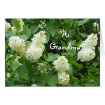 Hi Grandma White Lilacs Greeting Cards