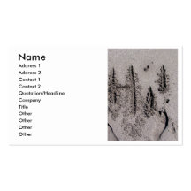 Hi! Written in Florida beach sand with footprints Business Cards