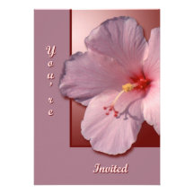 Hibiscus Announcements