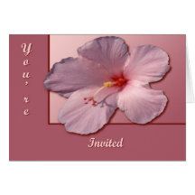 Hibiscus Cards