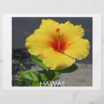 Hibiscus Flyer