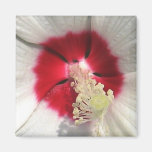 Hibiscus - Magnet
