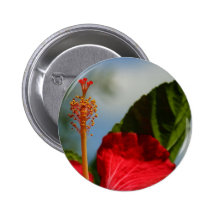 Hibiscus Red Flower Pins