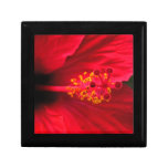 Hibiscus Trinket Box