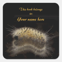 Hickory Tussock Caterpillar Bookplate Sticker