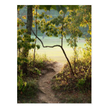Hidden Path Postcards