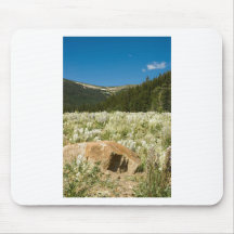 Hidden Valley Mousepads