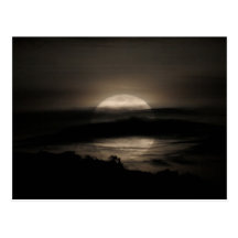 Hiding Place No.9 Postcard