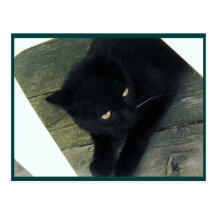 Hiding Postcards