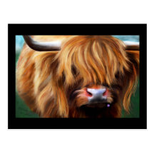 Highland Cow Painting Post Card
