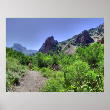 Hiking Big Bend National Park Poster