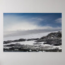 Hiking in Antarctica Print