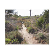 Hiking Trail at Andree Clark Bird Refuge Gallery Wrap Canvas