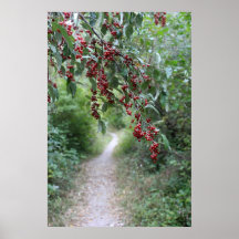 Hiking Trail with Berries Poster