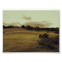 Hillside. Photo Print