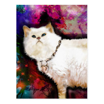 Himalayan Cat Post Card