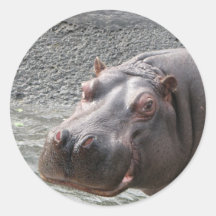 Hippo Sticker