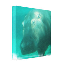 Hippo Under Water Canvas Print