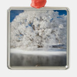 Hoar Frost on Willow Tree, near Omakau, Central 2 Christmas Ornament