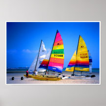HOBIE CATS IN JERSEY POSTERS