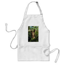Hoffmann's two-toed sloth aprons