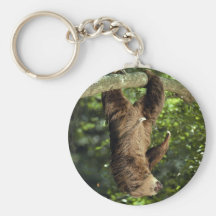 Hoffmann's two-toed sloth keychain