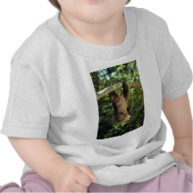 Hoffmann's two-toed sloth tshirt