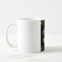 Holding Nature In Your Hand! Mugs