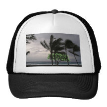 Holiday Lights on Palm Trees Hat