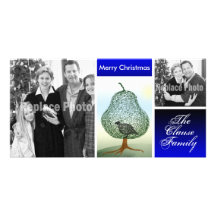 Holiday Photo Cards