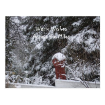 Holiday Warm Wishes-Snow Covered Bird House Postcard