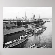 Holland America Line Print