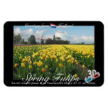 Holland Tulips Landscape 3D View Anaglyph Rectangle Magnets