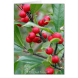 Hollyberries Card