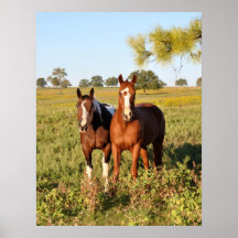 Home On The Range Poster