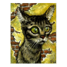 Homeless kitty postcard